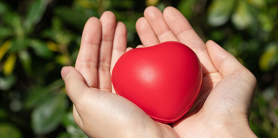 银河集团186net(中国)有限公司官网