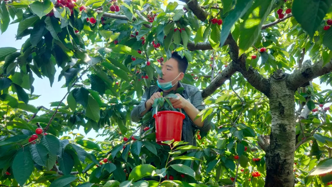 银河集团186net(中国)有限公司官网